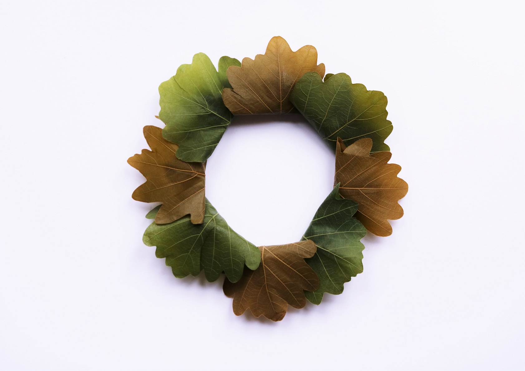 姫路 和菓子 甘音屋 柏餅の販売を始めました